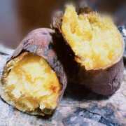 ヒメ日記 2024/12/15 17:41 投稿 さつき Fの法則