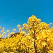 ヒメ日記 2025/01/04 20:31 投稿 さつき Fの法則