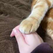 ヒメ日記 2025/02/06 08:17 投稿 さつき Fの法則