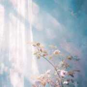 ヒメ日記 2025/07/06 16:59 投稿 さつき Fの法則