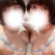 ヒメ日記 2025/10/07 07:25 投稿 さつき Fの法則