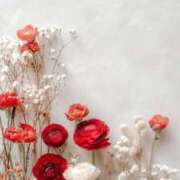 ヒメ日記 2025/10/11 12:02 投稿 さつき Fの法則