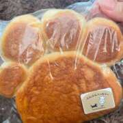 ヒメ日記 2025/10/18 12:05 投稿 さつき Fの法則