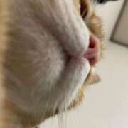 ヒメ日記 2025/10/18 15:45 投稿 さつき Fの法則