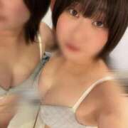 ヒメ日記 2025/11/30 06:51 投稿 さつき Fの法則