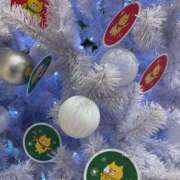 ヒメ日記 2025/12/21 12:30 投稿 さつき Fの法則