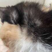 ヒメ日記 2026/01/23 19:00 投稿 さつき Fの法則