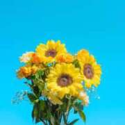 ヒメ日記 2026/03/15 12:30 投稿 さつき Fの法則