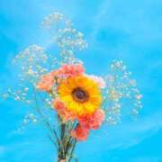 ヒメ日記 2026/03/29 00:05 投稿 さつき Fの法則