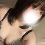 ヒメ日記 2026/03/29 08:09 投稿 さつき Fの法則