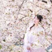 ヒメ日記 2025/04/02 18:21 投稿 かすみ プレミアム(福原)