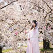 ヒメ日記 2025/04/07 08:33 投稿 かすみ プレミアム(福原)