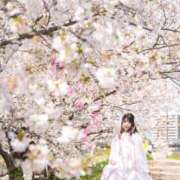 ヒメ日記 2025/04/12 14:34 投稿 かすみ プレミアム(福原)