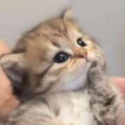 ヒメ日記 2025/08/06 19:02 投稿 かすみ プレミアム(福原)