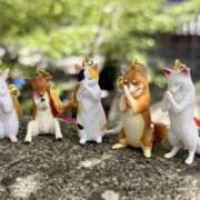 ヒメ日記 2025/08/31 16:31 投稿 かすみ プレミアム(福原)