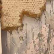 ヒメ日記 2026/02/13 17:31 投稿 かすみ プレミアム(福原)