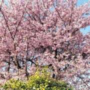 ヒメ日記 2025/03/21 09:57 投稿 りな 諭吉専科