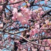 ヒメ日記 2025/04/02 17:48 投稿 りな 諭吉専科