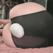 ヒメ日記 2024/12/12 08:54 投稿 木之本　かすみ シェルクラブ・ウエスト