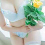 ヒメ日記 2025/04/28 09:32 投稿 木之本　かすみ シェルクラブ・ウエスト