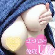 ヒメ日記 2026/02/23 09:51 投稿 らぶ LOVEカップ1mの奇跡 Parfaite Luna☆(パルフェットルナ)