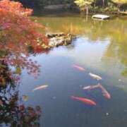 高村 出勤しました！ ミセスの手ほどき