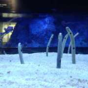 ヒメ日記 2025/07/16 19:54 投稿 高村 ミセスの手ほどき