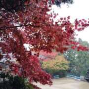 ヒメ日記 2025/05/20 18:01 投稿 八咲(やえ)♥スレンダー美女！ 美魔女コレクション