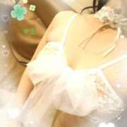 ヒメ日記 2026/07/06 00:01 投稿 八咲(やえ)♥スレンダー美女！ 美魔女コレクション