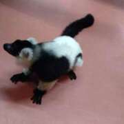 ヒメ日記 2025/12/04 06:00 投稿 そのか 世界のあんぷり亭 錦糸町店