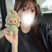 ヒメ日記 2025/08/25 15:29 投稿 吉井まい JKリフレ東京 秋葉原本店