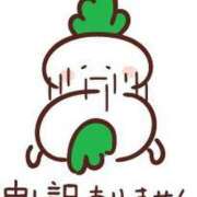 ヒメ日記 2025/03/19 07:49 投稿 新菜 熟女の風俗最終章 新横浜店