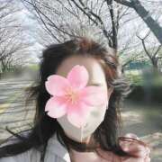 ヒメ日記 2025/04/07 09:01 投稿 新菜 熟女の風俗最終章 新横浜店