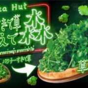 ヒメ日記 2025/04/07 15:26 投稿 新菜 熟女の風俗最終章 新横浜店