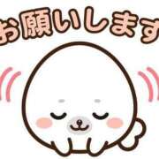 ヒメ日記 2025/04/25 15:46 投稿 新菜 熟女の風俗最終章 新横浜店