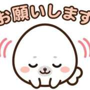 ヒメ日記 2025/09/24 19:16 投稿 新菜 熟女の風俗最終章 新横浜店