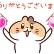 ヒメ日記 2026/03/20 11:12 投稿 新菜 熟女の風俗最終章 新横浜店