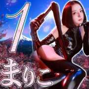 ヒメ日記 2025/04/02 00:27 投稿 まりこ 変態なんでも鑑定団