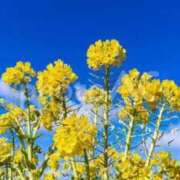 ヒメ日記 2025/04/14 23:24 投稿 あこ 熟女の風俗最終章 仙台店