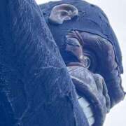 ヒメ日記 2025/06/20 10:00 投稿 はづき GlamourGlamour (グラマーグラマー)