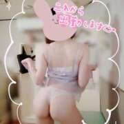 ヒメ日記 2025/08/24 08:01 投稿 佐々木そら セレブショップ新宿（東京ハレ系）