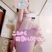 ヒメ日記 2025/10/15 08:01 投稿 佐々木そら セレブショップ新宿（東京ハレ系）