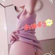 ヒメ日記 2025/11/15 08:01 投稿 佐々木そら セレブショップ新宿（東京ハレ系）