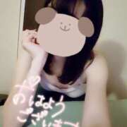 ヒメ日記 2025/12/17 08:00 投稿 佐々木そら セレブショップ新宿（東京ハレ系）