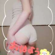 ヒメ日記 2026/04/05 08:02 投稿 佐々木そら セレブショップ新宿（東京ハレ系）