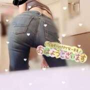 ヒメ日記 2026/04/17 08:04 投稿 佐々木そら セレブショップ新宿（東京ハレ系）