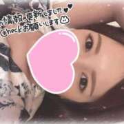 のぞみ 2月28日～ 松戸角海老根本店