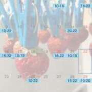 城崎　しろな 3月のシフトだよ〜🐰 ノーパンパンスト スケベなOL梅田・兎我野店