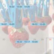 ヒメ日記 2026/03/25 09:33 投稿 城崎　しろな ノーパンパンスト スケベなOL梅田・兎我野店