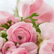 ヒメ日記 2025/02/14 07:00 投稿 八木香苗 ローテンブルク